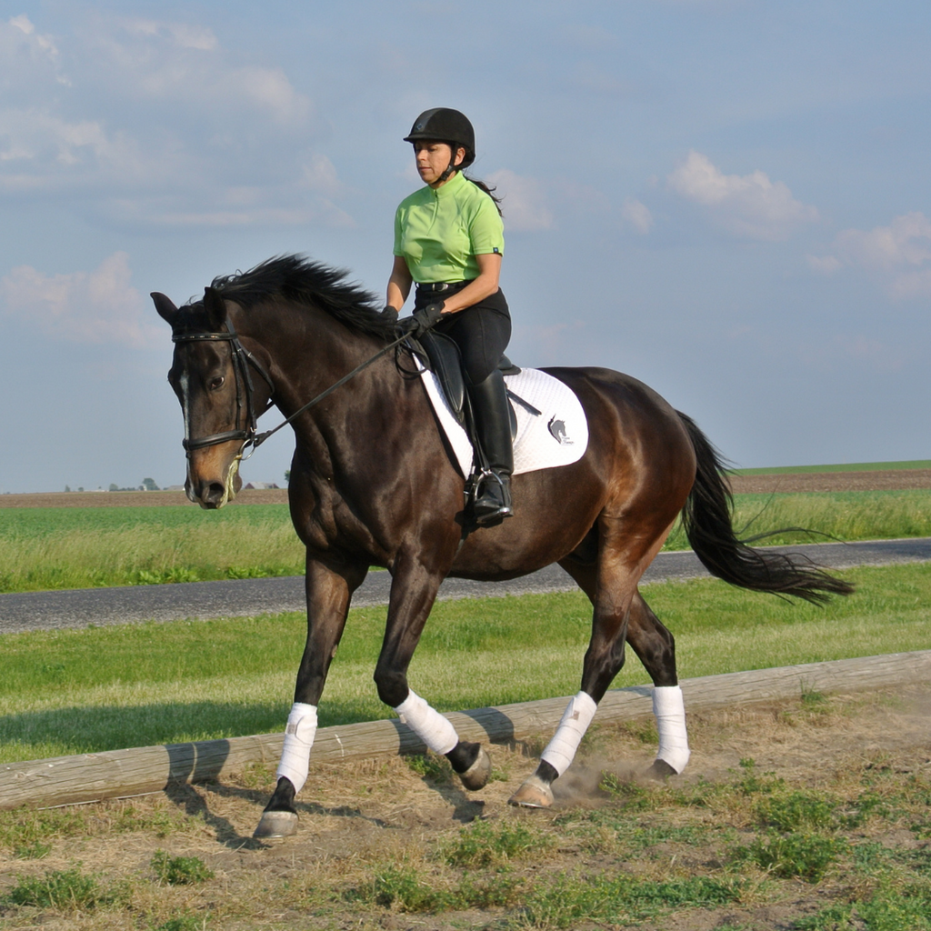 Pilates für Reiter Tipps von Janice Dulak's Pilates for Dressage