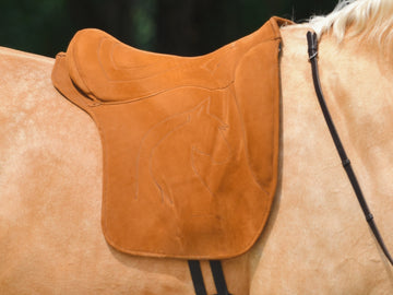 Reitkissen Pegasus Inglesa