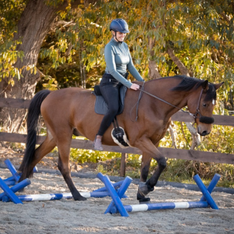Garrido Reitkissen Challenge - Cavaletti