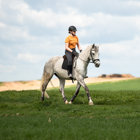 Ausreiten mit Reitkissen