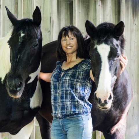 Ursula Schuster - Garrido goes Natural Horsemanship